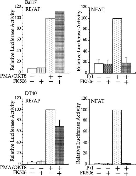 Fig. 2. CD28 activation of RE/AP is resistant to FK506 in B cells. / Transfections and stimulations were performed as in Figure 1, with the expression and reporter constructs as denoted in the figure. For RE/AP and CD8/28 cotransfections, the results were standardized to the activation of PMA/OKT8 (n = 100); the actual average luciferase counts were 6613 for Bal17 and 73 938 for DT40. For NFAT transfections, the results were standardized to the activation of PMA/ionomycin; the actual average luciferase counts were 2297 for Bal17 and 70 289 for DT40. FK506 was added to some samples at a final concentration of 100 ng/mL before stimulation. For samples transfected with the NFAT reporter, ionomycin was added at a final concentration of 1 μM. The results shown are the average of 3 independent transfections. Error bars reflect the SD from the mean.