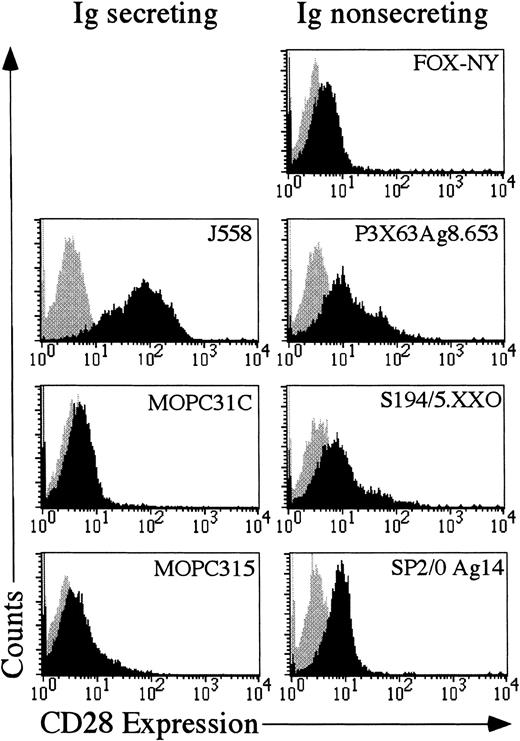 Fig. 3. Expression of CD28 in murine myeloma cell lines. / Each myeloma cell line was stained with either mouse IgG1-phycoerythrin (Becton Dickinson) or antimurine CD28-phycoerythrin (Pharmingen). The gray shaded area reflects the histogram of cells stained with mouse IgG1-phycoerythrin. The black shaded area reflects the histogram of cells stained with anti-CD28 phycoerythrin.