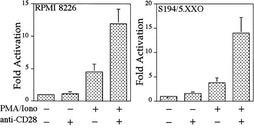Fig. 4. Endogenous CD28 up-regulates transcription of an RE/AP reporter in myeloma cell lines. / The human myeloma cell line RPMI8226 and murine myeloma cell line S194/5.XXO were transfected with an RE/AP reporter. The following day, the 105 live cells were unstimulated or stimulated with PMA/ionomycin (25 ng/mL and 1 mM, respectively) and anti-CD28 (Caltag) for 6 hours as denoted in the figure. RPMI 8226 cells were stimulated with antihuman CD28 (Caltag) at 1 μg/mL. S194/5.XXO cells were stimulated with a 1:1000 dilution of antimurine CD28 ascites. Luciferase activity was standardized to the unstimulated control for each cell line (n = 1). The actual average counts for background RE/AP luciferase activity were 649 in RPMI 8226 and 402 in S194/5.XXO. The results shown are the average of 4 independent transfections. Error bars reflect the SD from the mean.