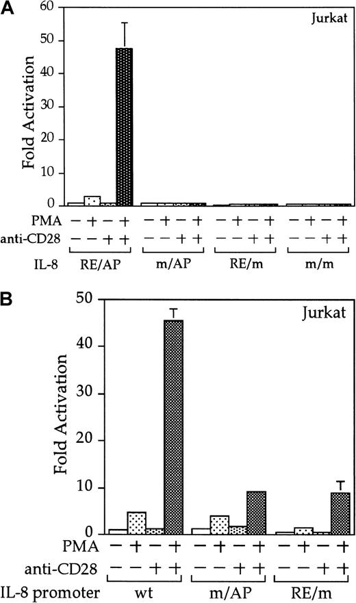 Fig. 6. The IL-8 promoter contains a true RE/AP composite element. / (A) Jurkat T cells were transfected with reporters containing 4 copies of the wild-type (wt) IL-8 RE/AP element, or constructs containing mutations at the NF-κB site, AP-1 site, or both. The following day, the 105 live cells were unstimulated or stimulated with 5 ng/mL PMA and 1 μg/mL anti-CD28 (Caltag) for 6 hours as denoted in the figure. Luciferase activity was standardized to the unstimulated control (n = 1). The actual average counts for background IL-8 RE/AP luciferase activity were 1020. The results shown are the average of 3 independent transfections. Error bars reflect the SD. (B) Jurkat cells were transfected as above, except that reporter constructs containing either the wild-type IL-8 promoter or ones containing mutations at either the NF-κB site or AP-1 sites within the IL-8 RE/AP sites were used. Luciferase activity was standardized to the unstimulated control (n = 1). The actual average counts for background IL-8 promoter luciferase activity were 2256. The results shown are the average of 3 independent transfections. Error bars reflect the SD.