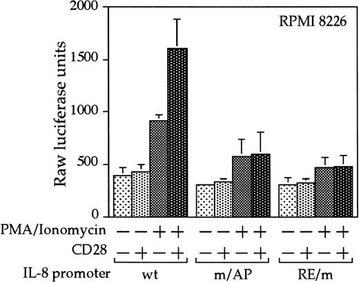 Fig. 7. CD28 stimulation leads to up-regulation of the IL-8 promoter in myeloma cells. / RPMI 8226 myeloma cells were transfected as in Figure 3, with either a wild-type IL-8 promoter or ones containing mutations at either the NF-κB site or AP-1 site within the IL-8 RE/AP sites. Cells were stimulated for 18 hours. Raw luciferase units were used without standardization. The results shown are the average of 3 independent transfections. Error bars reflect the SD.
