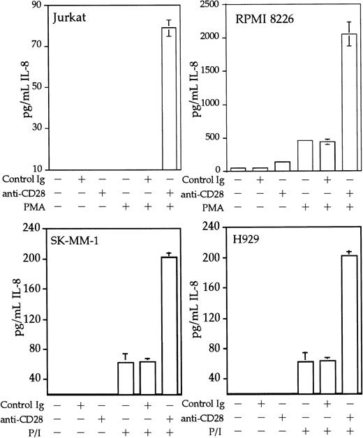 Fig. 8. CD28 stimulation enhances IL-8 production by myeloma cells. / Jurkat T cells, RPMI 8226, SK-MM-1, or H929 human myeloma cells were stimulated with PMA, 25 ng/mL for Jurkat, SK-MM-1, and H929, 1 ng/mL for RPMI 8226, 1 μM ionomycin, 1 μg/mL anti-CD28, and/or 1 μg/mL isotype-matched control antibody MOPC195 as indicated. The cells were used at a concentration of 1 × 106/mL. After 18 hours, the supernatants were tested for IL-8 by ELISA, using the matched antibody pair and reagents from Pierce-Endogen as per the manufacturer's instructions. Within each experiment, the stimulations were performed in triplicate. The results shown are the average of 3 independent experiments. Error bars reflect the SD.