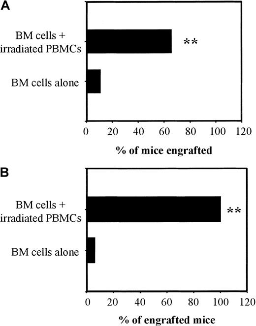 Fig. 4. Graft-facilitating effect of irradiated human PBMCs. / BALB/c (H-2d) mice were submitted to 6-Gy TBI and grafted 24 hours later with 106 BM cells from FVB (H-2q; panel A, 2 independent experiments with 12 mice per group) or C57BL/6 (H-2b; panel B, one experiment with 12 mice per group) mice alone or with 107 γ-irradiated human PBMCs. Between day 45 and day 50 post-BMT, engraftment was measured by FACS analysis. Results are expressed as previously described in Figure3. **P < .005.