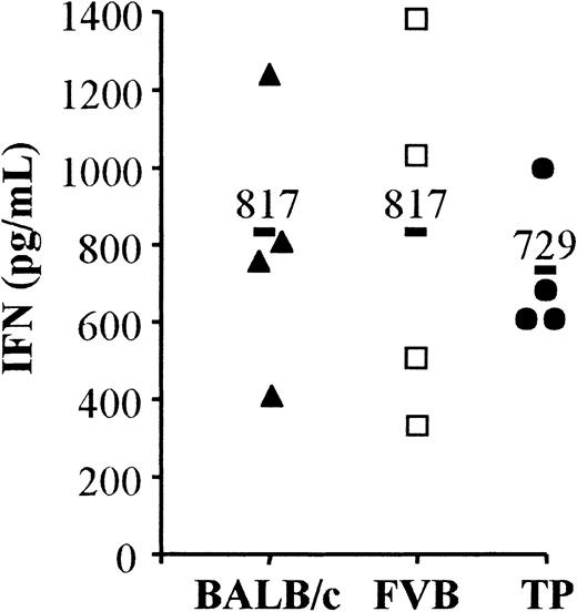 Fig. 5. IFN production of ex vivo T lymphocytes in response to allogeneic third-party DCs. / Purified spleen T lymphocytes were obtained from naive BALB/c (H-2d, black triangles), FVB (H-2q, open squares) mice, or BALB/c mice grafted with 106 BM cells from FVB mice plus apoptotic SCs of C57BL/6 (H-2b) mice (noted TP, black circles) at day 45 to day 50 post-BMT. These T lymphocytes were used as responders and C57BL/6 mature DC as stimulants in a one-way mixed leukocyte reaction. The IFN-γ production was measured 48 hours later in the supernatant of cultures by enzyme-linked immunosorbent assay. The grafted mice (noted TP) included in this analysis had a complete FVB phenotype at day 45 to day 50 post-BMT. Four individual mice were tested in each group. A bold bar indicates the mean for each group. P = .739.