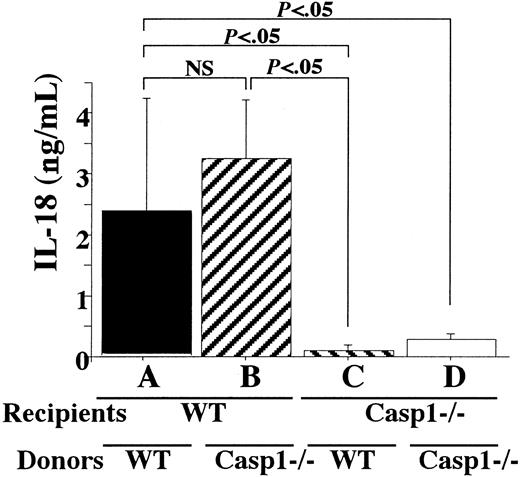 Fig. 2. Caspase-1–dependent secretion of IL-18 is derived from hosts. / WT or caspase-1–deficient BALB/c (Casp1−/−) mice were lethally irradiated and underwent transplantation with WT or caspase-1–deficient B6/129 spleen cells (5 × 107). At day 5, serum was sampled and IL-18 levels were determined. Serum IL-18 in irradiated WT or caspase-1–deficient BALB/c mice having transplantation with BALB/c spleen cells at day 5 was not detectable. NS indicates not significant. Data represent the mean ± SD of 5 mice in each experimental group. Similar results were obtained in 3 independent experiments.