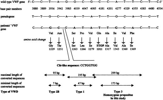 Fig. 1. Schematic presentation of the 3′- end of the intron 27 and 5′- end of the exon 28 of the. / VWF gene, showing the base pair differences detected in propositus investigated in this study and other reported cases of gene conversion between VWF and pseudogene.Selected nucleotides and their numbers for the wild-type VWFgene are shown together with the corresponding bases of the pseudogene at these positions. Nucleotides in bold in the third line (from the top) shows those that match with bases in the pseudogene in our own and the other reported patients.15-17 Below each changed nucleotide, the resulting amino acid substitution is shown, and finally at the bottom the predicted maximal and minimal length of the putative converted sequences and the reported VWD phenotype are shown. The location and the nucleotides of the chi-like sequence is indicated.19