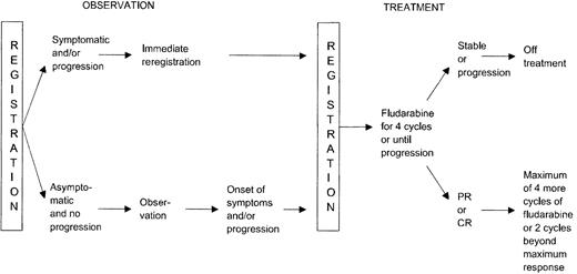 Fig. 1. Study schema.