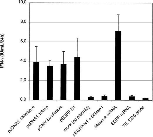 Fig. 6. Outcome of plasmid cDNA-based antigen loading of 34-LCs. / IFN-γ production by the CTL clone was measured after coculture with HLA-A2+ 34-LCs electroporated with various plasmid DNA constructs encoding Melan-A (pcDNA1.1/Melan-A; n = 12), EGFP (pEGFP-N1; n = 12), luciferase (pCMV-Luc; n = 3), or with a backbone vector (pcDNA1.1/Amp; n = 6) lacking a eukaryotic cDNA sequence. Alternatively, 34-LCs were electroporated with in vitro–transcribed mRNA encoding EGFP or Melan-A (n = 3). Results are shown as mean ± SD. * P < .05.