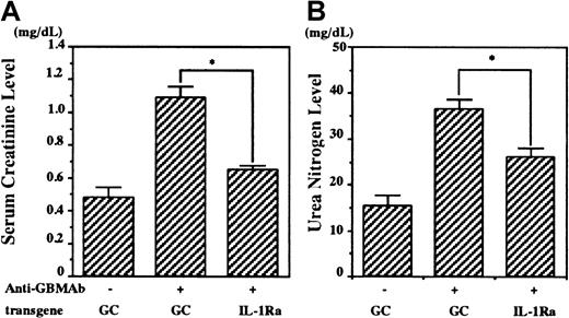 Fig. 3. Effect of bone marrow reconstitution with IL-1Ra on renal function after the induction of anti-GBM glomerulonephritis. / The bone marrow of female recipients was reconstituted with male cells, which possessed the mouse IL-1Ra gene (IL-1Ra chimera) or human GC gene (GC chimera). Anti-GBM glomerulonephritis was induced in these chimeric mice (10 per group), and serum creatinine levels (left) and urea nitrogen levels (right) were measured before and 28 days after the induction. Data are presented as means ± SE. Asterisks indicate significant differences (P < .05) between the 2 groups.