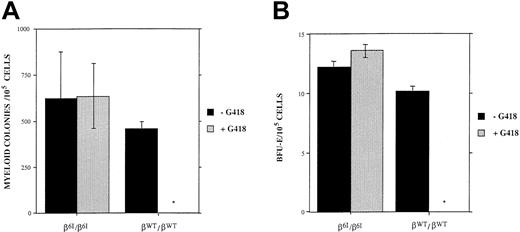 Fig. 4. Colony quantitation. / (A) Quantitation of myeloid colonies (CFU-G and CFU-GM) derived from the bone marrow cells of either wild type or β6I/β6I mice using growth conditions that permitted myeloid differentiation after 8 days of culture. (B) Quantitation of erythroid colonies (BFU-E) using conditions that permitted only erythroid growth after 8 days of culture. There was no significant difference in the numbers of myeloid or erythroid colonies derived from either the β6I/β6I or the βwt/βwt mice in the absence of G418. The addition of 900 μg/mL active G418 caused near-complete suppression of colony formation from wild-type bone marrow cells. In contrast, G418 did not suppress myeloid or the erythroid colony numbers (or the sizes of colonies) derived from the bone marrow cells of β6I/β6I mice. Graphs represent means and standard deviations from 3 separate experiments.
