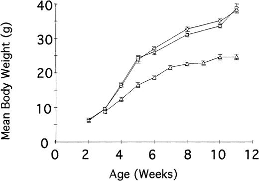 Fig. 4. Normal growth rate of. / Csf1op/Csf1op;TgC/+ mice. Groups of 6 male mice of each genotype (⋄, +/+; ■,Csf1op/Csf1op; TgC/+;▵, Csf1op/Csf1op) were weighed at approximately weekly intervals. Means ± SEM.