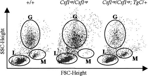 Fig. 7. FACS analysis of blood monocytes, granulocytes, and lymphocytes by forward and side light scatter. / Separate regions encompassing the monocyte (M), granulocyte (G), and lymphocyte (L) subpopulations are indicated. Quantitative results for mice of each genotype are summarized in Table 5.