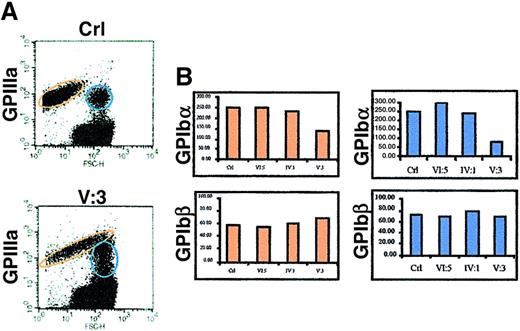 Fig. 6. Platelet glycoprotein expression analysis in whole blood. / (A) An antibody (perCP labeled) against GPIIIa was used to identify platelets in blood samples. The platelets of patient V:3 are at least 4 to 5 times larger than control platelets (localized in the normal platelet population, shown in the red ellipses). A platelet subpopulation was observed (shown in blue circles) consisting of 1:1 platelet red blood cell conjugates. (B) Bars showing the normalized expression of GPIbα and GPIbβ in the 2 platelet populations (red versus blue). No abnormalities were seen for the carriers VI:5 and IV:1.