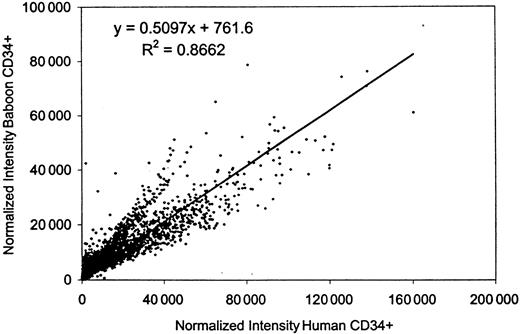 Fig. 1. Correlation of gene expression between human and baboon CD34+ cells. / The normalized intensities of all the data points (25 920) from 5 releases of GeneFilters (GF200-GF204) hybridized to the baboon-derived CD34+ probe were compared to those resulting from the human-derived CD34+ probe by scatter analysis, using Microsoft Excel software.