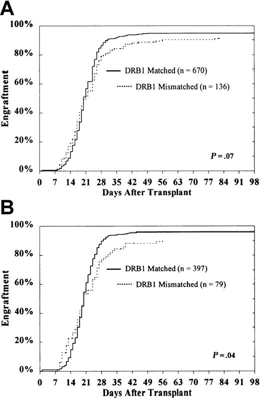 Fig. 1. Probability of engraftment according to DRB1 match status among the entire study population. / CML patients (A) and subset of HLA-A, B matched patients in first CP (B).