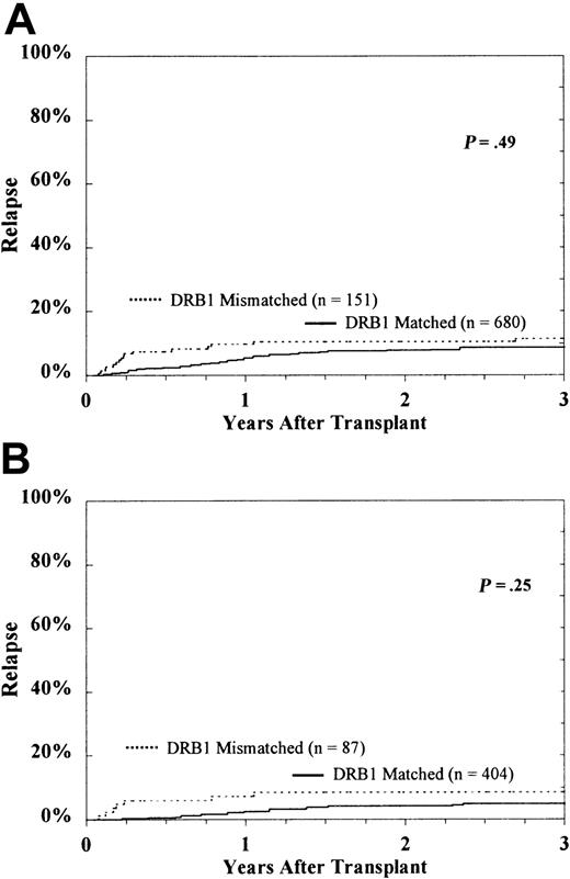 Fig. 4. Probability of hematologic relapse according to DRB1 match status among the entire study population. / CML patients (A) and subset of HLA-A, B matched patients in first CP (B).