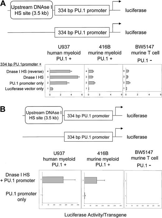 Fig. 4. A region containing the DNase I HS located −14 kb upstream of the murine PU.1 gene directs cell type–specific expression in stably transfected cells. / (A) The DNase I HS region does not confer specificity (or activity) in transient transfections. The 3.5-kb HindIII fragment located at −14 kb (Figure 1B), containing a DNase I HS (Figure 3A), was placed in front of a 500-bp fragment containing 334 bp of 5′ upstream promoter sequence and 152 bp of 5′ untranslated sequences in front of a luciferase reporter gene in both normal and reverse orientation, as shown in the top diagram. These constructs were transiently transfected into myeloid and T-cell lines and luciferase activity measured (bottom panels) and compared with the activity of the promoter fragment or luciferase vector only. Also shown is the SD of at least 3 independent experiments. (B) The murine PU.1 upstream DNase I HS region confers activity in stable cell lines in myeloid cell lines but not a T-cell line. The PU.1 334-bp promoter constructs, with (top) or without (bottom) the 3.5-kb HindIII fragment containing the −14-kb DNase I HS, were stably transfected into myeloid U937 and 416B as well as T-cell BW5147 lines, and multiple independent clones assayed for luciferase activity normalized to the plasmid copy number as determined by Southern blot analysis. Shown is the SD of at least 10 independent clones for each construct in each cell line.