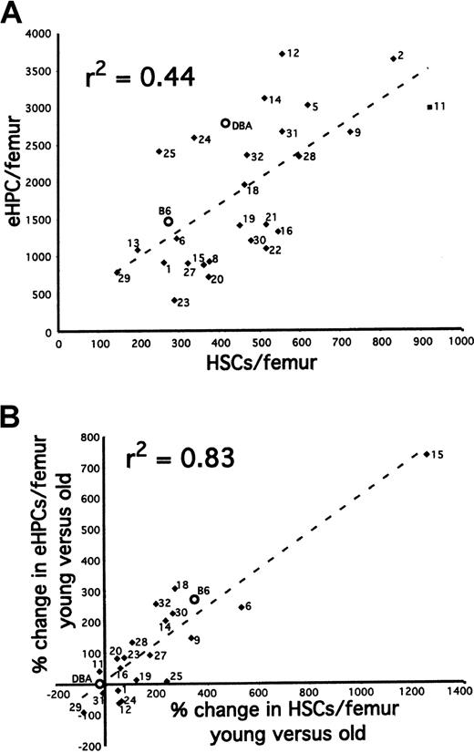 Fig. 2. Correlation between the number of HSCs and eHPCs. / (A) The number of HSCs and eHPCs are weakly correlated in young animals. (B) A strong correlation exists between the percentage of change with age in the number of HSCs and the percentage of change with age of the number of eHPCs. The number next to each data point refers to the BXD strain number. P = 1 × 10−4 for A and P = 3.8 × 10−9 for B.