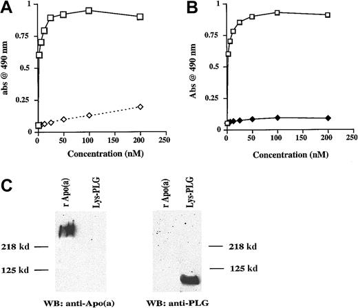 Fig. 3. PLG binds TFPI and apo(a) inhibits this binding. / (A) Binding of varying concentrations of L-PLG to rTFPI in the presence (⋄) or absence (■) of EACA (0.2 M). (B) Binding of varying concentrations of L-PLG to rTFPI in the presence (♦) or absence (■) of apo(a) (500 nM). (C) Western blot showing lack of cross-reactivity between anti-PLG and anti-apo(a) antibodies. In panels A and B data presented are the mean values from 3 separate experiments.