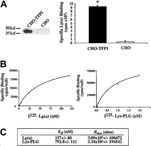 Fig. 4. Radiolabeled Lp(a) binds with higher affinity than L-PLG to CHO cell surface TFPI. / (A) Left panel shows Western blot evidence of TFPI protein expression in CHO cells stably transfected with pcDNA3-TFPI plasmid compared to absent TFPI expression in parental nontransfected CHO cell line. Right panel shows specific binding of Lp(a) (5 nM) to CHO-TFPI cells compared to negligible binding of Lp(a) to a parental nontransfected CHO cell line. (B) Representative radioligand binding curves for Lp(a) and L-PLG to cell surface TFPI expressed on CHO-TFPI cells. (C) Apparent binding affinities (KD) and binding capacities (Bmax) of CHO cell surface TFPI for Lp(a) and L-PLG. Data presented are the means of at least 4 separate experiments performed in duplicate and the asterisk indicates P < .01.