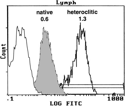 Fig. 1. T2 binding assay. / Expression of MHC class I molecule on T2 cells without peptide after addition of the native peptide FR17 (FI = 0.6) and enhanced expression after addition of the heteroclitic peptide FR17H (FI = 1.3).