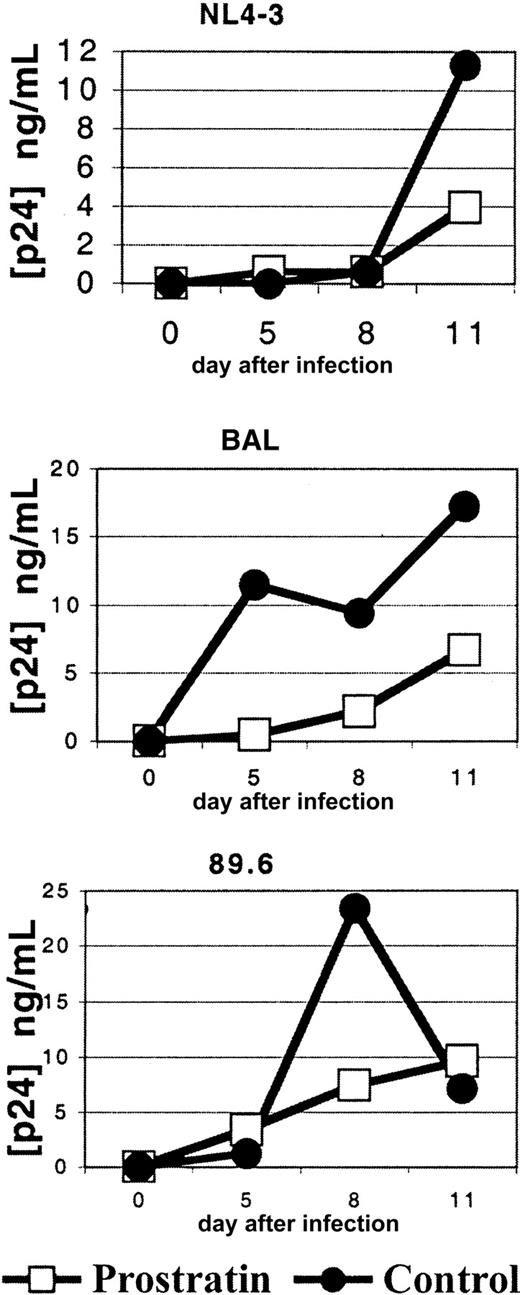 Fig. 7. Dynamics of HIV-1 infection of human PBMCs after prostratin treatment. / PBMCs were exposed to 0.263 μM prostratin, then infected with HIV-1 virion-containing supernatants derived from 293T cells transfected with HIV-1 expression plasmids for the 3 strains as indicated with equivalent p24 antigen input of virus. Supernatant samples were withdrawn on the days after infection, as indicated, and assessed for HIV-1 p24 antigen content by ELISA.