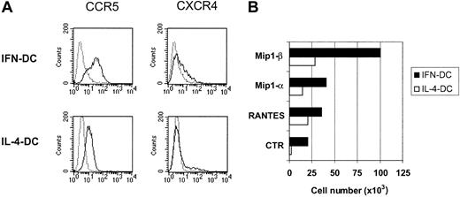 Fig. 3. CCR5 expression and migratory response to β-chemokines by IFN-DCs. / (A) Dot histogram FACS profiles showing CCR5 and CXCR4 staining of IFN-DCs and IL-4-DCs. (B) DCs (5 × 105), treated for 3 days with the indicated cytokines, were resuspended in complete medium and seeded in the upper compartments of 8-μm pore size filter Transwell chambers, while 0.5 μg/mL of the relevant chemokine in serum-free medium was added to the lower compartments. The lower wells of control chambers contained medium alone. After 2 hours of incubation, the cells that migrated to the lower compartment were counted. Assays were performed in triplicate. SDs did not exceed 15%. Results of one representative experiment of 4 are shown.