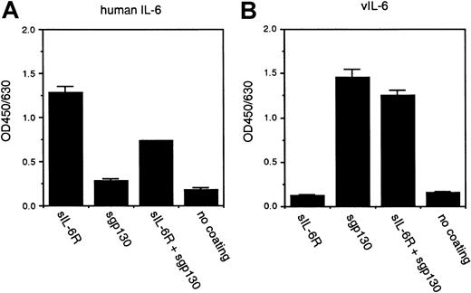 Fig. 5. Binding of hIL-6 and vIL-6 to sIL-6R chains as detected by ELISA. / Purified sIL-6R (5 μg/mL) or sgp130 (5 μg/mL) or both were immobilized on an ELISA plate and incubated with hIL-6 (50 ng/mL) or MBPvIL-6 (50 ng/mL). Bound protein was detected with a rabbit polyclonal anti–hIL-6 antibody that recognizes hIL-6 but not vIL-6 (A) or anti–MBPvIL-6 antibody that recognizes vIL-6 but not hIL-6 (B), followed by HRP-conjugated antirabbit IgG antibodies. The results represent the means of triplicate assays; error bars represent SD. Representative data from 3 independent experiments are shown.