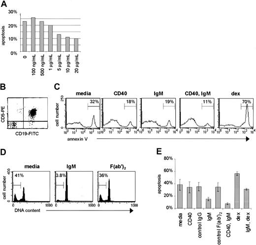 Fig. 1. sIgM and CD40 engagement favor survival of CLL B cells. / (A) Purified CLL cells were subjected to BCR engagement using goat anti-human IgM F(ab′)2 fragments over a range of doses. (B) Purification of CLL cells was confirmed by FACS for coexpression of CD5 and CD19. (C) The purified cells were cultured for 48 hours with media only, or stimulated by CD40 ligation (anti-CD40 mAb, murine IgGκ1, 2μg/mL), IgM engagement (goat anti-human IgM F(ab′)2, 10μg/mL), CD40 and IgM engagement, or dexamethasone (10−7 M). The percentage of apoptotic cells for each circumstance, measured by annexin V–FITC, is indicated. (D) Apoptosis was determined for cells of another case by the PI method after culture with media only, with anti-IgM F(ab′)2, or with a control polyspecific goat F(ab′)2. The percent of cells with subdiploid DNA (apoptotic percent) is indicated for each histogram. (E) Purified CLL cells were stimulated by CD40 and/or IgM engagement, dexamethasone, or exposed to control antibodies (anti-CD23, murine IgGκ1, 2 μg/mL; or polyspecific goat F(ab′)2, 10 μg/mL) and evaluated for apoptosis by the PI method. Error bars represent the SEM.