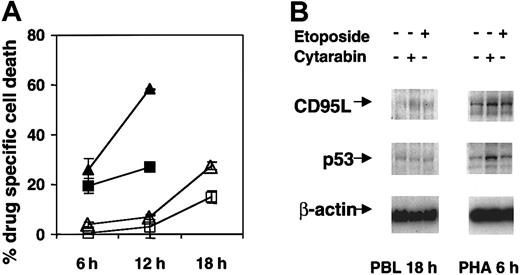Fig. 6. Cytotoxic drug-induced p53 expression and activation of CD95 in resting versus cycling PHA-stimulated T cells. / (A) Cytotoxic drug-induced death in resting and stimulated CD4 T cells. Unstimulated PBLs (open symbols) and lymphocytes stimulated for 72 hours with PHA and IL-2 (closed symbols) were cultured in medium, 10 μg/mL cytarabine (triangles), and 10 μg/mL etoposide (squares) for 6, 12, and 18 hours. Cells were analyzed by flow cytometry for CD3, CD4, CD45RO, and annexin V binding. Cytotoxic drug-specific cell death was calculated from the proportion of annexin-positive cells of CD4+CD45RO+ T lymphocytes in the treated and untreated samples. Bars represent the standard deviation of the experiment performed in triplicate. Results from a representative experiment of 3 independently performed experiments are shown. (B) Cytotoxic drug-induced protein expression of p53 and CD95 ligand. PBLs and stimulated lymphocytes were cultured in medium, 10 μg/mL cytarabine, and 10 μg/mL etoposide as in panel A. CD95 ligand and p53 were detected by immunoblot at 18 hours for unstimulated lymphocytes and at 6 hours for stimulated lymphocytes.