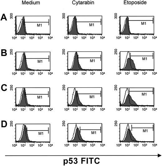 Fig. 7. Induction of p53 in cytotoxic drug-treated resting and stimulated lymphocytes. / PBLs (A) and stimulated lymphocytes (B-D) were cultured in medium, 10 μg/mL cytarabine, and 10 μg/mL etoposide for 6 (B), 12 (C), and 18 hours (A, D). Fluorescence profiles of p53 expression (filled curve) and isotype control (open curve) are depicted.
