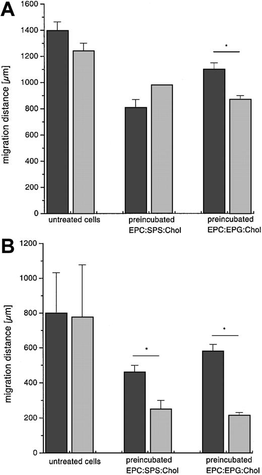Fig. 8. Chemotaxis assay of normal and CGD granulocytes. / Cells (1 × 106) migrated with and without GOL treatment toward NfMLP, 1 μM (A), and LTB4, 1 μM (B). Granulocytes were preincubated at 37°C for 15 minutes with liposomes (EPC:SPS:Chol and EPC:EPG:Chol, both 4:3:3 mole ratio, 1 mM), then washed and assayed. Values are given as mean ± SD, n = 3. ▪ indicates normal; ░, CGD. Results of 2-group t test are marked with asterisk; P < .05.