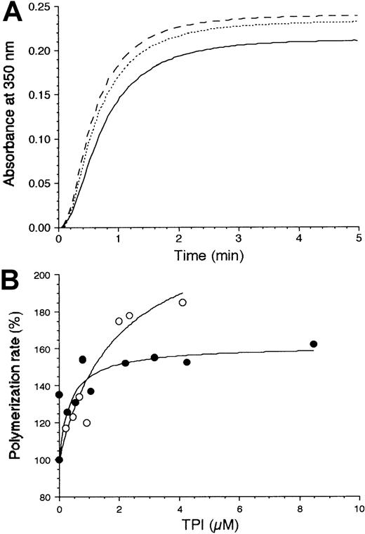 Fig. 1. Effect of TPIs on tubulin polymerization kinetics. / (A) The assembly of MTs was monitored by turbidimetry at 37°C after initiating the polymerization of 10 μM tubulin by 20 μM paclitaxel alone (solid line) or in the presence of wTPI at a concentration of 0.53 μM (dotted line) or 2.12 μM (dashed line). (B) The dependence of the tubulin polymerization rate on TPI concentration is shown for mTPI (○) and wTPI (●), respectively. Data points represent the maximal slope of the turbidity traces shown in panel A, relative to the control (10 μM tubulin alone).