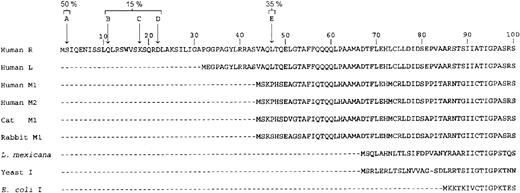 Fig. 2. Sequence of the N-terminal portion of human RPK. / Arrows indicate the N-terminal residues found by sequencing of the purified RPK. A typical preparation of the protein comprised 50% A, 35% E, and 15% other species. For comparison, the human RPK sequence is aligned with sequences of other human PK isozymes and with PKs of known 3-dimensional structure.