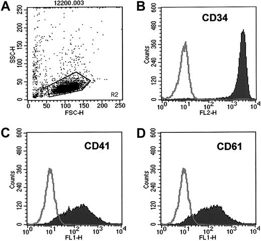 Fig. 1. CD34+ cells isolated from mPB highly express CD41 and CD61. / Expression of CD41 and CD61 antigens on CD34+ cells isolated from mPB was evaluated by FACS. (A) Cytogram of mPB CD34+ cells. (B) Purity of CD34+ cells. (C) Expression of CD41 on mPB CD34+ cells. (D) Expression of CD61 on mPB CD34+ cells. One study representative of 6 is shown.