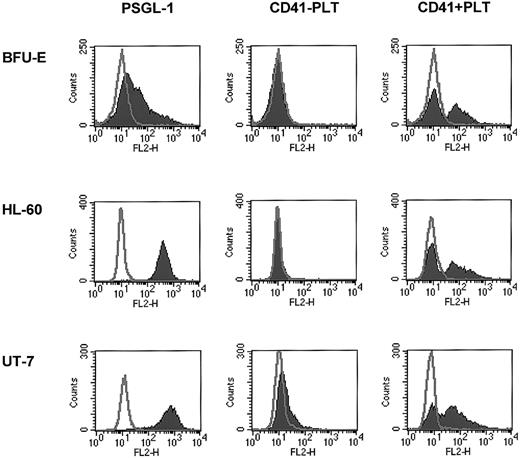 Fig. 4. Human BFU-E–derived cells, HL-60 cells, and UT-7 cells express PSGL-1 (CD162) and become covered with PMPs after incubation with platelets. / Normal human BFU-E–derived cells (upper row), HL-60 cells (middle row), and UT-7 cells (lower row) were stained with PE–anti-PSGL-1 monoclonal antibody (left panels) and PE–anti-CD41 monoclonal antibody before (middle panels) or after (right panels) incubation with platelets. One study representative of 3 is shown.
