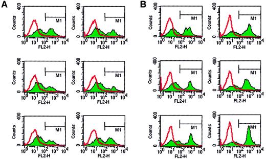 Fig. 8. Detection of donor cells in the bone marrow of mice that received transplanted cells. / Bone marrow cells were not covered (A) or were covered (B) with PMPs, were isolated from animals receiving transplanted cells, and subsequently were stained with α-Ly5 monoclonal antibodies. Because donor and host mice differed in the Ly5 locus, donor and host cells were easily detectable by Ly5.1- or Ly5.2-specific monoclonal antibodies. A representative study of 2 is shown.