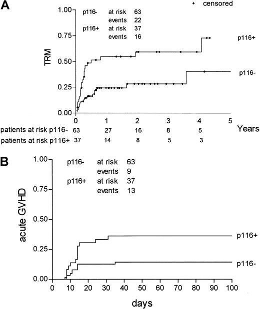 Fig. 1. Kaplan-Meier estimates of TRM and severe acute GVHD according to involvement of position 116. / TRM (A) and severe (grade III-IV) acute GVHD (B) incidence for pairs with a substitution at position 116 (p116+) compared to pairs without such a substitution (p116−).