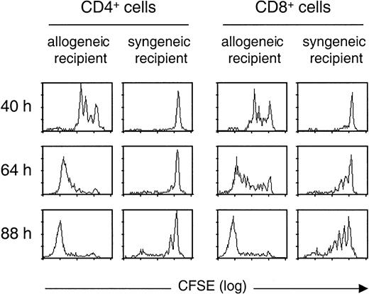 Fig. 1. CD4+ and CD8+ cells proliferate more rapidly in semiallogeneic than in syngeneic irradiated hosts. / CFSE-labeled T cells from hCD4 transgenic B6 mice were transferred into semiallogeneic (B6/D2) or syngeneic (B6) lethally irradiated mice. Data show proliferation (as examined by CFSE dilution pattern) of donor (hCD4+ gated) CD4+ and CD8+ T cells recovered from spleen of recipient mice at 3 different time points (40, 64, and 88 hours) following transfer. Similar results were obtained for 3 allogeneic and 3 syngeneic recipient mice at each time point.