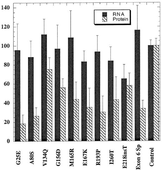 Fig. 2. URO-D protein and mRNA levels present in EBV-transformed lymphocytes. / Total URO-D mRNA and URO-D protein were quantified as described in “Patients and methods.” Densitometry values were normalized to the levels of β-actin for mRNA and B56 phosphatase 2A subunit for total protein. The average from 3 separate experiments is shown. Error bars represent the standard deviation. The control value represents the average of 6 nonporphyric EBV-transformed cell lines. Solid bars represent URO-D mRNA levels, and hatched bars represent URO-D protein level. In all mutants except one, the relative amount of URO-D mRNA exceeded the protein level. The insertion mutant (Glu218insT) generated approximately equivalent amounts of mRNA and protein.