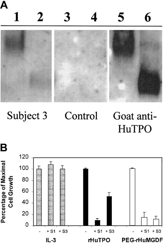 Fig. 4. IgG from thrombocytopenic subjects binds to TPO and neutralizes its biological activity. / (A) rHuTPO (lanes 2,4,6) and PEG-rHuMGDF (lanes 1,3,5) were subjected to native PAGE (10% Tris-glycine, pH 8.3, without SDS, heat denaturation, or reduction) and blotted with IgG from subject no. 3 (lanes 1,2), IgG from a control subject (lanes 3,4), or a polyclonal goat antibody to TPO (lanes 5,6). (B) BaF3-mpl cells were grown in the presence of varying concentrations of IL-3 (gray bars), rHuTPO (black bars), or PEG-rHuMGDF (white bars) in the absence (−) or presence (+) of IgG from subjects no. 1 or 3 and the effect on cell growth measured.