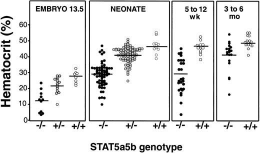 Fig. 1. Developmental anemia in Stat5a−/−5b−/−mice. / Hematocrit measurement on Stat5a−/−5b−/−, Stat5a+/−5b+/− or wild-type littermates at the ages indicated. The same hematocrit data are tabulated in Table 1. Some of the embryo hematocrit data were published previously.11