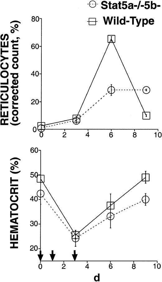 Fig. 2. Stat5a−/−5b−/−-mice with near-normal hematocrit have a sluggish response to erythropoietic stress. / Six adult Stat5a−/−5b−/− mice with initial hematocrit more than 35% and 6 wild-type controls were injected with phenylhydrazine on days 0, 1, and 3 (indicated by small arrows). The corrected reticulocyte count (also known as reticulocyte index21) allows an assessment of erythropoietic rate, and was calculated assuming a normal hematocrit of 45%, as follows: Corrected reticulocyte count (%) = reticulocyte count (%) × (hematocrit/45).