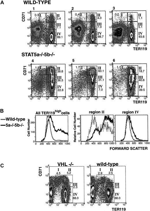 Fig. 5. Massive increase in the ratio of early to late erythroblasts in spleens of anemic Stat5a−/−5b−/− mice. / (A) Flow cytometry density plots of spleen cells from 3 representative wild-type mice (numbers 1-3, mean hematocrit = 48.5%) and 3 anemic Stat5a−/−5b−/− mice (numbers 4-6, mean heamtocrit = 23%) from the same mouse colony. Cells were labeled for Ter119 and CD71 as described in Figure 4. The relative number of cells in each of regions I to IV as a percent of all viable, nucleated erythroid cells is indicated on each plot. Erythroid cells (defined as all cells in regions I to IV) in each spleen constituted 61.7%, 53%, and 37.4% of all spleen cells for the wild-type mice (numbers 1-3, respectively); and 87.7%, 93.2% and 91.1% of all spleen cells for Stat5a−/− 5b−/− mice (numbers 4-6, respectively). (B) Flow cytometry forward-scatter distribution histograms of wild-type and Stat5a−/−5b−/−mice (corresponding to mice numbers 1 and 4, respectively, in panel A). Left-hand panel shows data for all Ter119high cells. Middle and right-hand panels show data for Ter119highCD71high (region II) cells and Ter119highCD71low (region IV) cells, respectively. (C) Flow cytometry density plots of spleen cells from a representative wild-type mouse (right-hand panel, hematocrit = 42%) and a representative mouse with a tissue-specific deletion of VHL (VHL−/−, left-hand panel; see “Materials and methods”). The VHL−/− mouse shown had an enlarged spleen and a hematocrit of 84%.