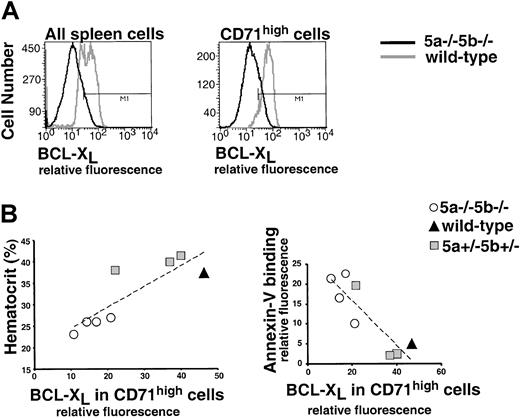 Fig. 9. Decreased expression of bcl-xL and increased erythroblast apoptosis correlate with anemia in Stat5a−/−5b−/− neonates. / (A) Flow cytometry histograms for bcl-xL expression in neonatal spleens. The left-hand histogram contains data from all spleen cells of one representative wild-type neonate and one Stat5a−/−5b−/− neonate. The right-hand histogram contains data from CD71high (early erythroblasts) cells only for the same spleens. In wild-type spleens, 65% of all cells and 94% of CD71high cells express bcl-xL(within the marker “M1”). In Stat5a−/−5b−/−spleens, 11% of all cells and 9% of CD71high cells express bcl-xL. (B) Summary of bcl-xL and annexin V binding data on representative neonates from 2 litters analyzed in the same experiment. Bcl-xL was measured as in panel A; annexin V was measured as described in Figure 8. Correlation lines were fitted to all the data points.