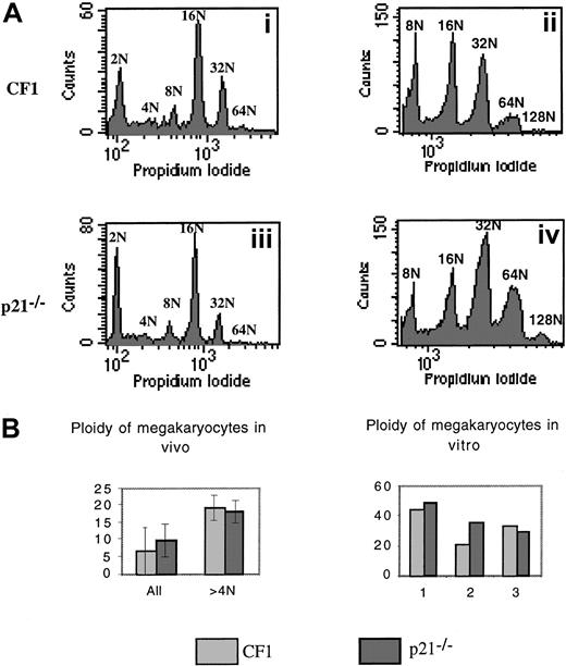 Fig. 6. Analysis of the ploidy of p21−/− and p21+/+ CF1 megakaryocytes. / Bone marrow cells were stained with a FITC anti-CD41 mAb and then incubated overnight in a hypotonic solution of PI. Samples were analyzed by flow cytometry. (A) Representative histograms. (i) (iii): Fresh bone marrow. (ii) (iv): Lin− cells stimulated by PEG-rHuMGDF and SCF were cultured for 3 days and ploidy was measured. Histograms are from a representative experiment (n = 7 for fresh marrow cells, n = 3 for cultured cells). (B) Analysis of the mean ploidy. Bone marrow megakaryocyte ploidy of 7 animals in each group was studied. No significant difference was observed between ploidy of p21−/− and CF1 mice.