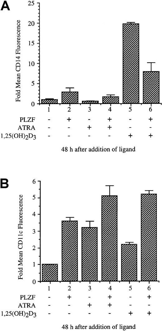 Fig. 6. PLZF expression blocks 1,25(OH)2D3-inducible cell-surface expression of CD14. / The U937-PLZF45 cell line was cultured in the presence or absence of tetracycline (− PLZF and + PLZF). After 16 hours, 1,25(OH)2D3 or ATRA was added, and samples were collected 48 hours later. The samples were fixed and stained with FITC anti-CD14 (A), CD11c (B), or nonspecific FITC antibodies. These samples were then analyzed for surface-marker expression by flow cytometry. FITC nonspecific antibodies did not stain cells (−) or (+) PLZF and were used to set detection levels and size variables for the flow cytometry analyses. Cell viability for all samples was greater than 95% (data not shown). The error shown for induction of cell-surface markers is the result of combining data from 3 separate experiments done in triplicate.