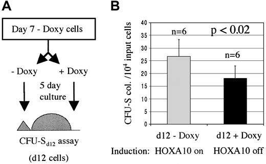 Fig. 7. The inducible proliferative effect on CFU-Sd12 progenitors is reversible. / HOXA10 production was induced for 7 days and then either down-regulated (+Doxy) or the induction was kept on (−Doxy). (A) An aliquot of transduced transgenic cells that had been cultured for 7 days in the absence of doxycycline was taken and split into 2, 5-day cultures with or without doxycycline. The cells were then injected into lethally irradiated recipients for a CFU-Sd12 assay. (B) Number of day 12 spleen colonies per 10 000 input cells. Results are shown as number of colonies ± SD from 1 of 2 experiments. Doxy indicates doxycycline; n, number of mice.