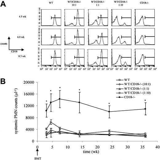 Fig. 1. Neutrophilia in CD18−/− mice is not caused by neutrophil accumulation in the systemic circulation. / (A) Lethally irradiated wild-type (WT) mice underwent transplantation with wild-type, CD18−/−, or a 10:1, 1:1, or 1:10 mixture of bone marrow. Relative amounts of CD18+/+ and CD18−/− neutrophils in the systemic microcirculation were followed by flow cytometry. The percentages of CD18−/−neutrophils in the circulation at 4.5, 6.0, or 8.5 weeks corresponded to the relative concentrations of CD18−/− bone marrow that was transplanted. (B) Severe neutrophilia in CD18−/−mice was restored to normal by CD18+/+ neutrophils. *Significantly different from all other groups (P < .05). Data are expressed as mean ± SEM (n = 3). BMT indicates bone marrow transplantation; PMN, polymorphonuclear neutrophils.