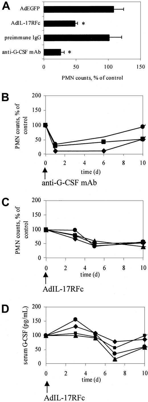 Fig. 3. Neutralization of G-CSF or IL-17 significantly decreases circulating neutrophil counts in CD18−/−E−/− mice. / (A) Peak response of neutralizing IL-17 or G-CSF function. Neutralizing IL-17 function using AdIL-17R decreased neutrophil counts in CD18−/−E−/− mice (n = 4) by approximately 50% on day 5, showing that IL-17 participates in regulating granulopoiesis. Anti–G-CSF antibody reduced neutrophil counts in CD18−/−E−/− mice (n = 3) by approximately 70% on day 1, indicating that G-CSF is the major regulator of neutrophils. *Significantly different from control group (P < .05). Data are expressed as mean ± SEM. (B) Time course of normalized neutrophil counts in individual mice treated with anti–G-CSF antibody. (C) Time course of normalized neutrophil counts in individual mice treated with AdIL-17RFc. (D) Time course of serum G-CSF levels in individual mice treated with AdIL-17RFc. Neutrophil counts and serum G-CSF levels were normalized to day 0 (100%). Different symbols represent difference mice.